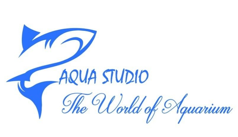 Aqua Studio Ahmedabad Logo
